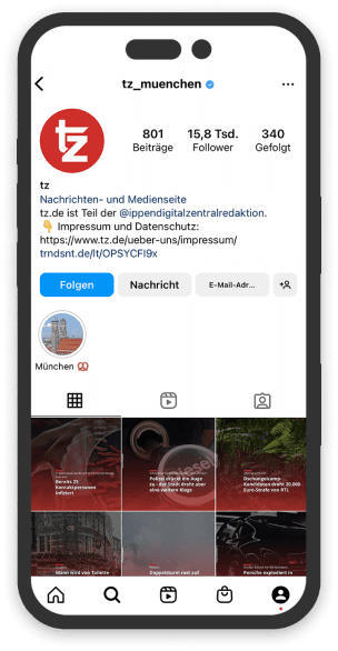 tz.de social media presence